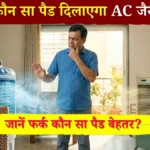 Honeycomb vs Grass: कूलर में कौन सा पैड दिलाएगा AC जैसी ठंडक? गलत चुनाव किया तो गर्मी में होगा बुरा हाल।