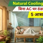 Natural Cooling Hacks: AC की क्या जरूरत? बिना बिजली खर्च किए घर को रखें शिमला जैसा ठंडा, बस अपनाएं ये 5 देसी उपाय।